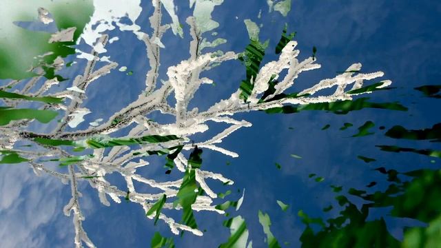 Книги юбиляры 2020 часть 1 смотреть онлайн