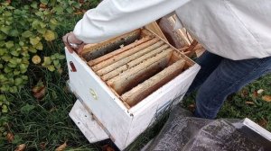 Готовлю пчел к зимовке на улице. Осенняя работа на пасеке.