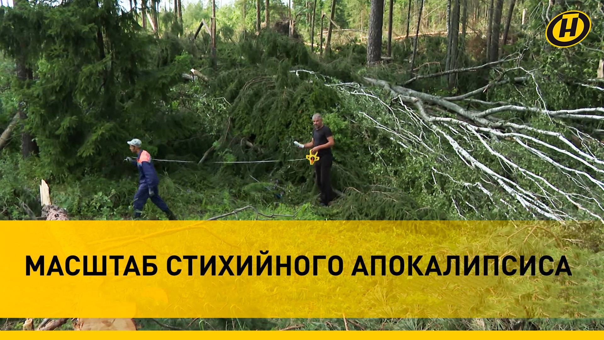 "ДЕРЕВЬЯ РАЗОРВАЛО НА ЧАСТИ". Гомельщина ПОСЛЕ СМЕРТЕЛЬНОГО УРАГАНА. Съемки МЧС с вертолета