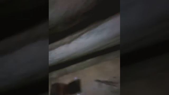 Как сделать пульки для воздушки