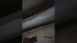 Как сделать пульки для воздушки