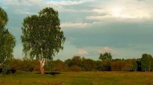 Передать невозможно словами..Белая берёза,белая зима- валерий мик