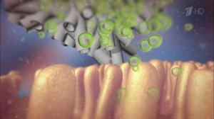 Гид по выбору лекарств. Чем очистить организм. Здоровье. Фрагмент выпуска от 25.09.2016