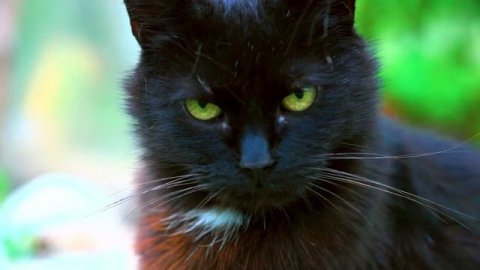 Видео в формате 4К - высокое качество видео приятная музыка