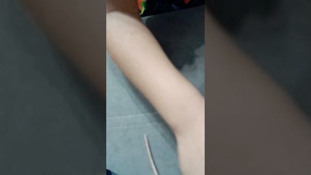 крыса Вани и вано