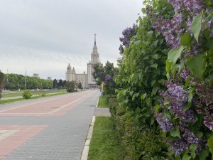 Сиреневое безумство в МГУ, поющие соловьи и Московская канатная дорога...