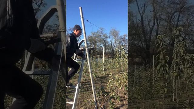 Сад (натяжка проволоки) смотреть онлайн