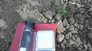 Виноград Дарья на 11.08.22г.