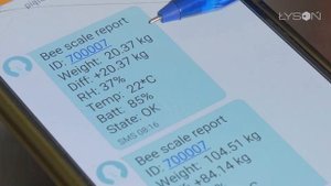 Электронные пасечные весы GSM Классик и Премиум LYSON