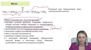 Химия для биолога. Липиды| ЕГЭ по биологии | Ксения Напольская | 100балльный репетитор