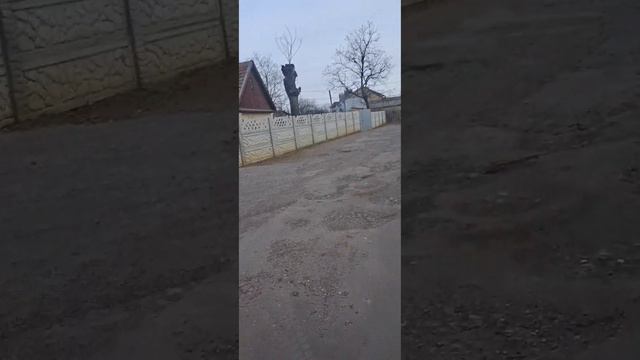 Взрослое кино#собакадругчеловека #любовьспасётмир