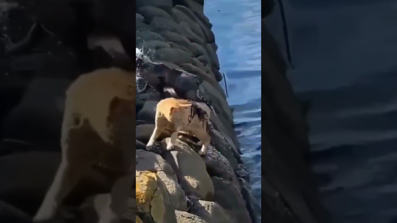 Моментально остыли смотреть онлайн