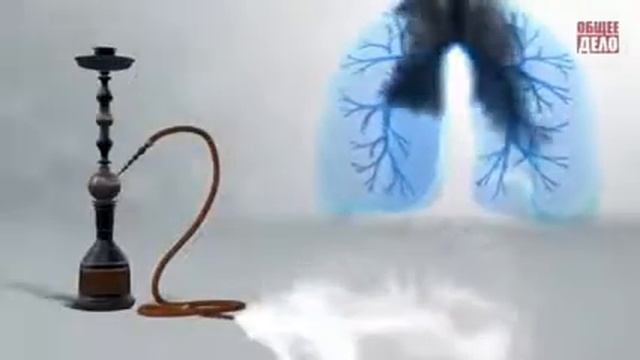 Вред кальяна