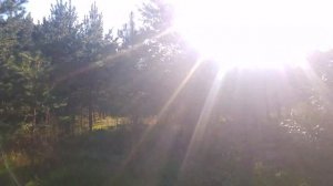 #1День Мы начали строить дом! С чего начать? ♡ [Anastasija_Vasilisa]