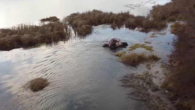 Багги SHARK  . Новогодний заезд - заплыв .