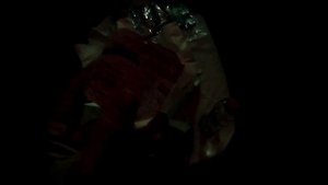 Купе. Класс обслуживания - 2Э - питание.