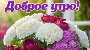 Доброе утречко 💖Всё будет хорошо💝 Прекрасного настроения 💞