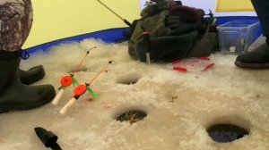 Зимняя рыбалка 2021. Поездка за навагой. Белое море.