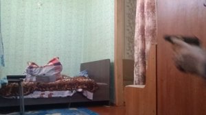 Мр654. Тест на пробитие.