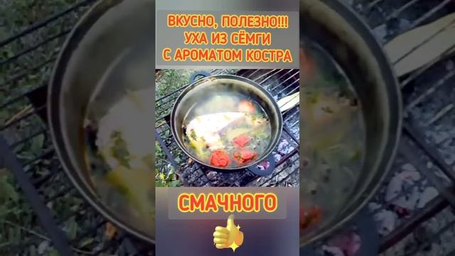 Уха на костре, сказка! #сьомга #сёмга #семга #уха #костер #мангал #вкусно #лето #еданакостре