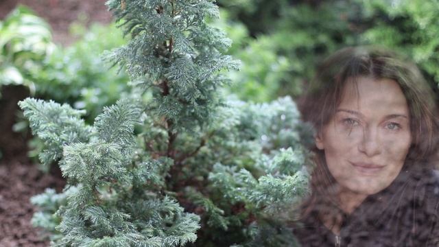 Какой смысл несет гексаграмма