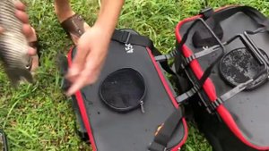 Сумка для рыбы WALK FISH AliExpress