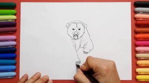 How to Draw Polar Bear