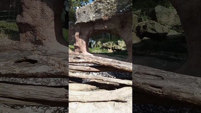 11 июня 2023 г. смотреть онлайн