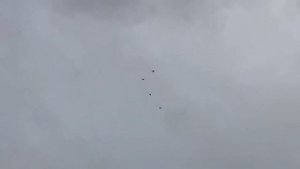 Что они творят (бойные Армянские голуби д