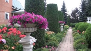 Страсти по бабушкиным флоксам. Сад Н. Дементьева.