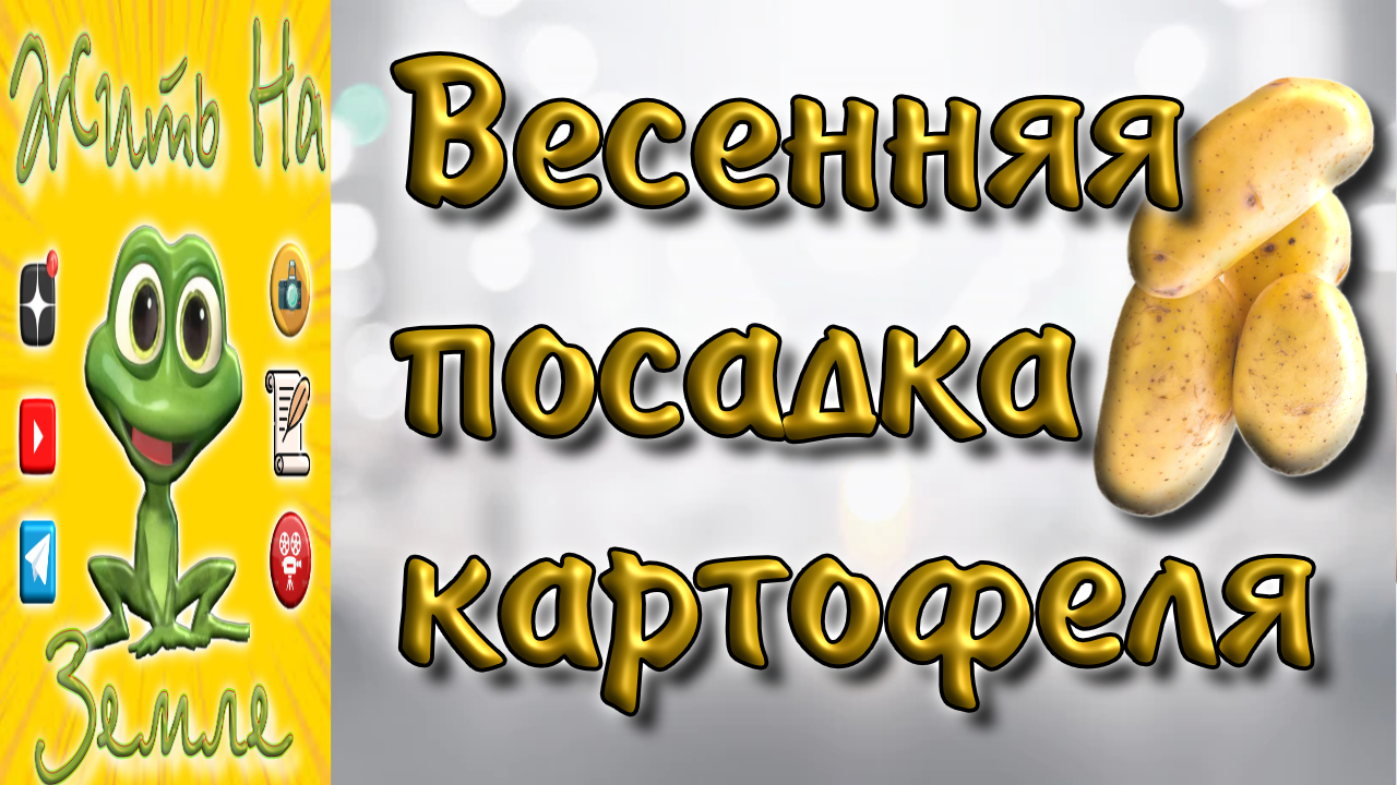 Посадка картофеля весной