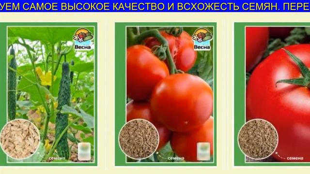 Лучшие Семена Герцог