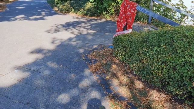 Бесплатные вещи в Германии -что можно найти на улицах или халява (часть 2) смотреть онлайн