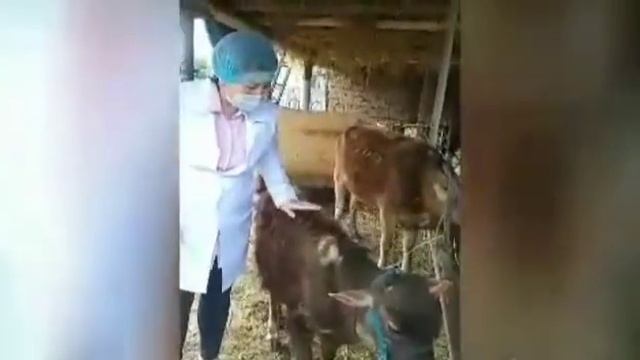 Поступай правильно - поступай в колледж! смотреть онлайн