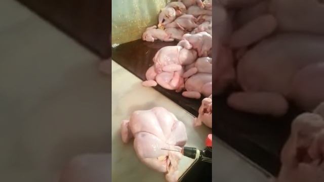 Увеличивают вес курицы смотреть онлайн