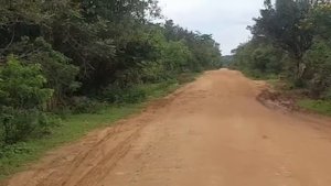 Шри Ланка, Леопард в национальном парке Яла, сафари на джипах