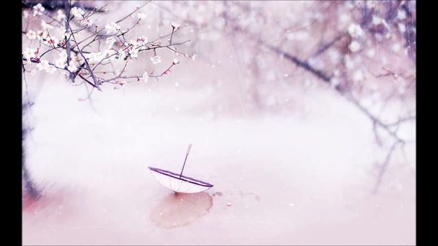 Beautiful Chinese Music   Chinese Fiddle