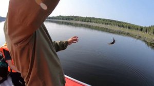 Ловим рыбу, наслаждаемся отдыхом!!! Долгобродское водохранилище!!!