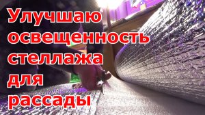 Оптимальные условия по освещенности для роста рассады можно добиться с помощью отражателя из фольги