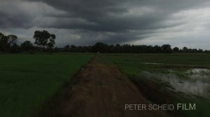 Rice Fields Vietnam - Cameraman, Videographer, Drone Pilot Peter Scheid, Ho Chi Minh City, Vietnam