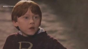 КАК ИСЧЕЗАЕТ ДНЕВНАЯ ФУРИЯ? БИОЛОГИЯ ДРАКОНОВ