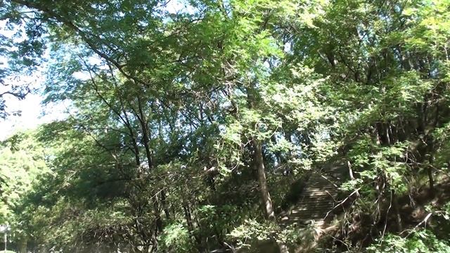 Стихи Николая.Гумилёва бесстрашны и гениальны смотреть онлайн