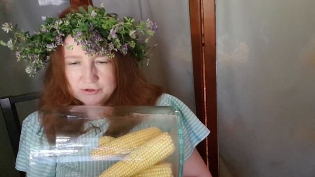 Тишина молота смотреть онлайн