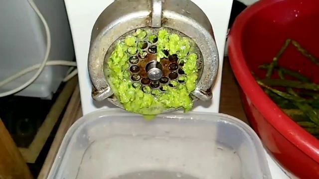 ПОБЕГИ СОСНЫ.Лечебное действие. смотреть онлайн