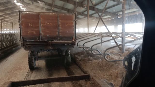 Подстилка соломы