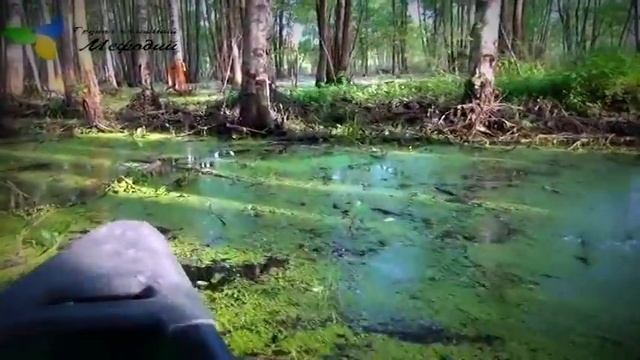 Преодоление бревен-топляков на каноэ "Мещера" смотреть онлайн