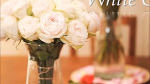 Premium Garden Rose White O'Hara from Rosas del Corazon