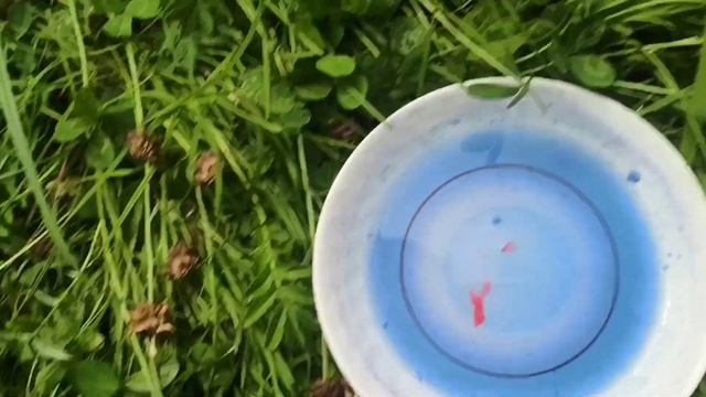 24 ЧАСА В САРАЕ ВМЕСТЕ С КУЗЕЙ!!!!!!!!! УЖАСНЫЙ ЧЕЛЛЕНДЖ ОТ СТРАННОЙ ДЕВОЧКИ В ЧЕРНОМ??????? смотреть онлайн