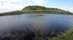 ЛОВЛЯ ЩУКИ НА СПИННИНГ В АВГУСТЕ С БЕРЕГА