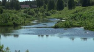 Пежма. Вельский район